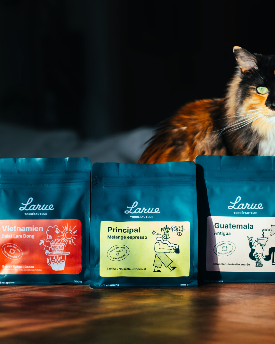 Bundle du torréfacteur